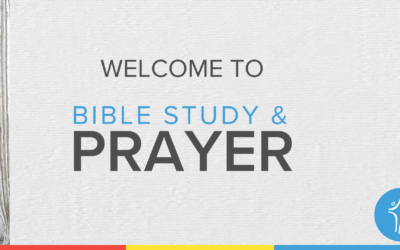 Wednesday Night Bible Study & Prayer